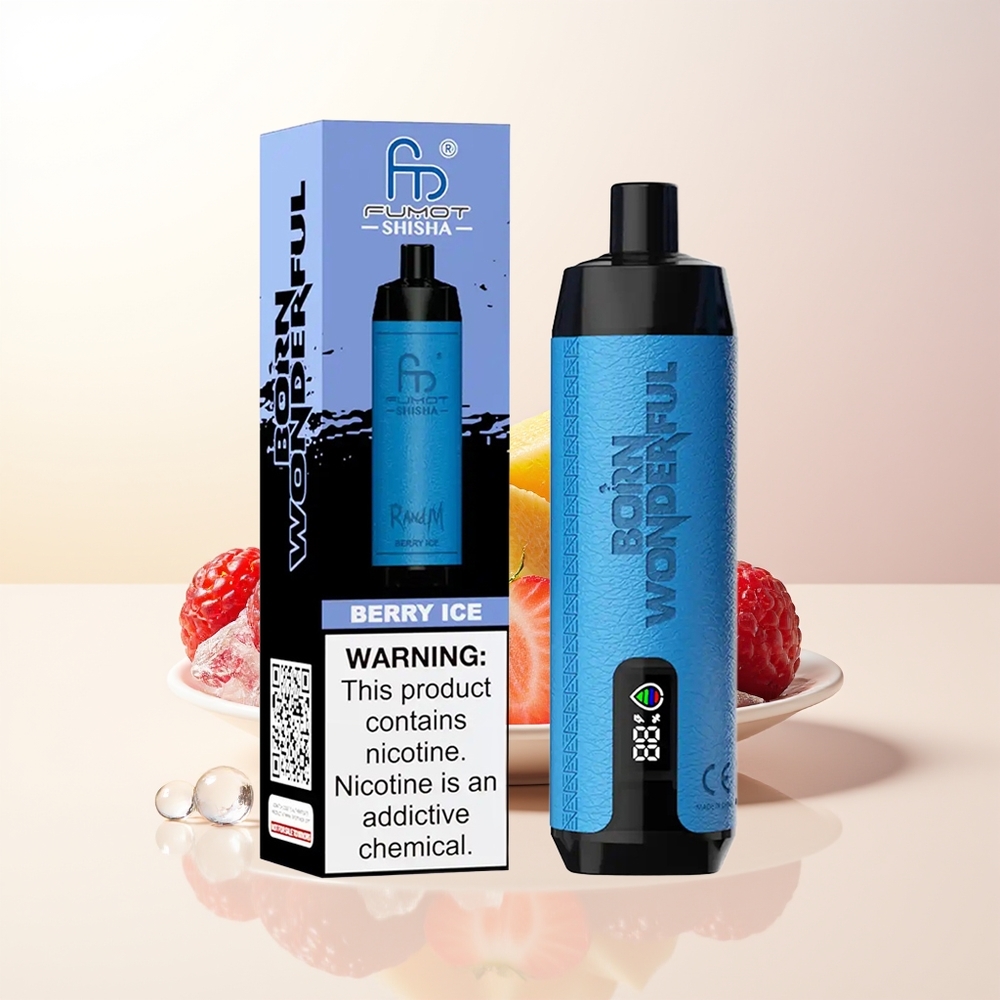 RandM Fumot Shisha 10000 Puffs Bär Is LED Indikator Typ-C Port