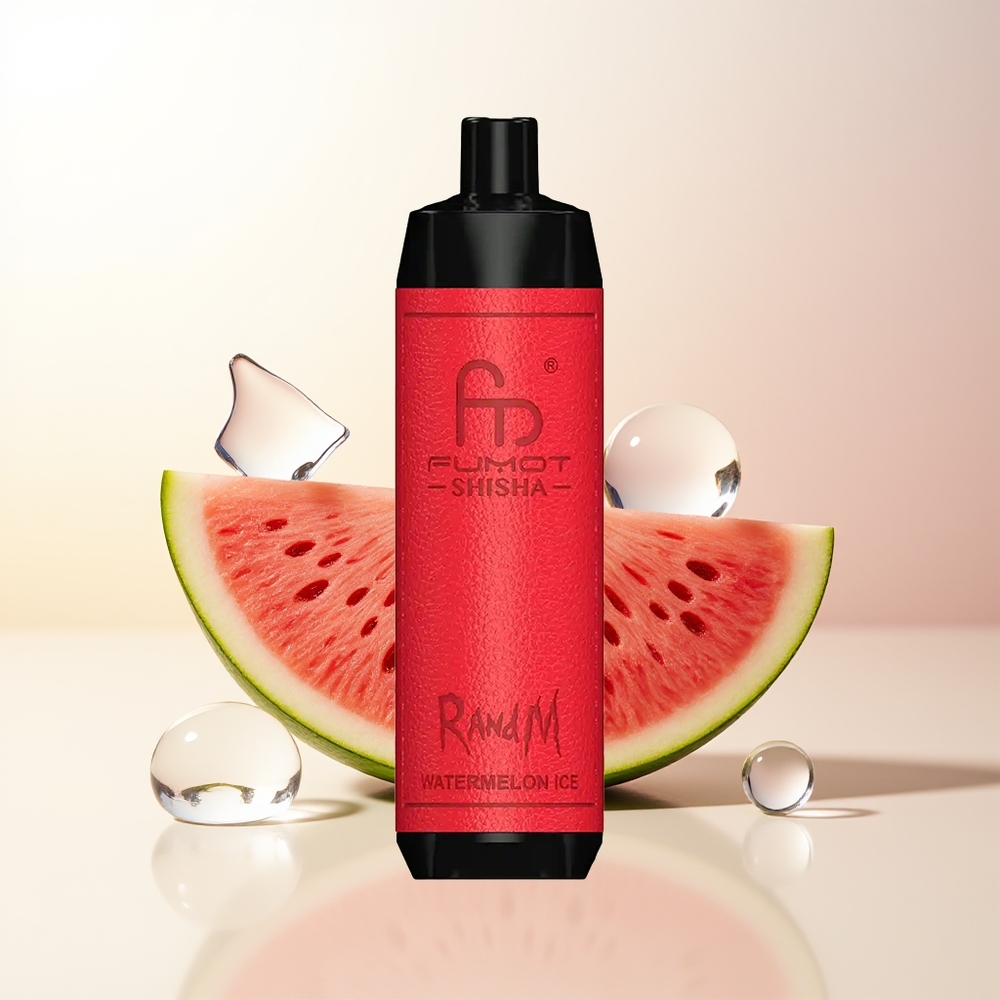 RandM Fumot Shisha 10000 Puffs Vattenmelon Is LED Indikator Typ-C Port 850 mAh Batteri