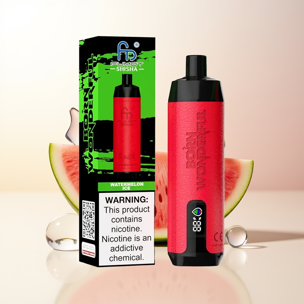 RandM Fumot Shisha 10000 Puffs Vattenmelon Is LED Indikator Typ-C Port 850 mAh Batteri
